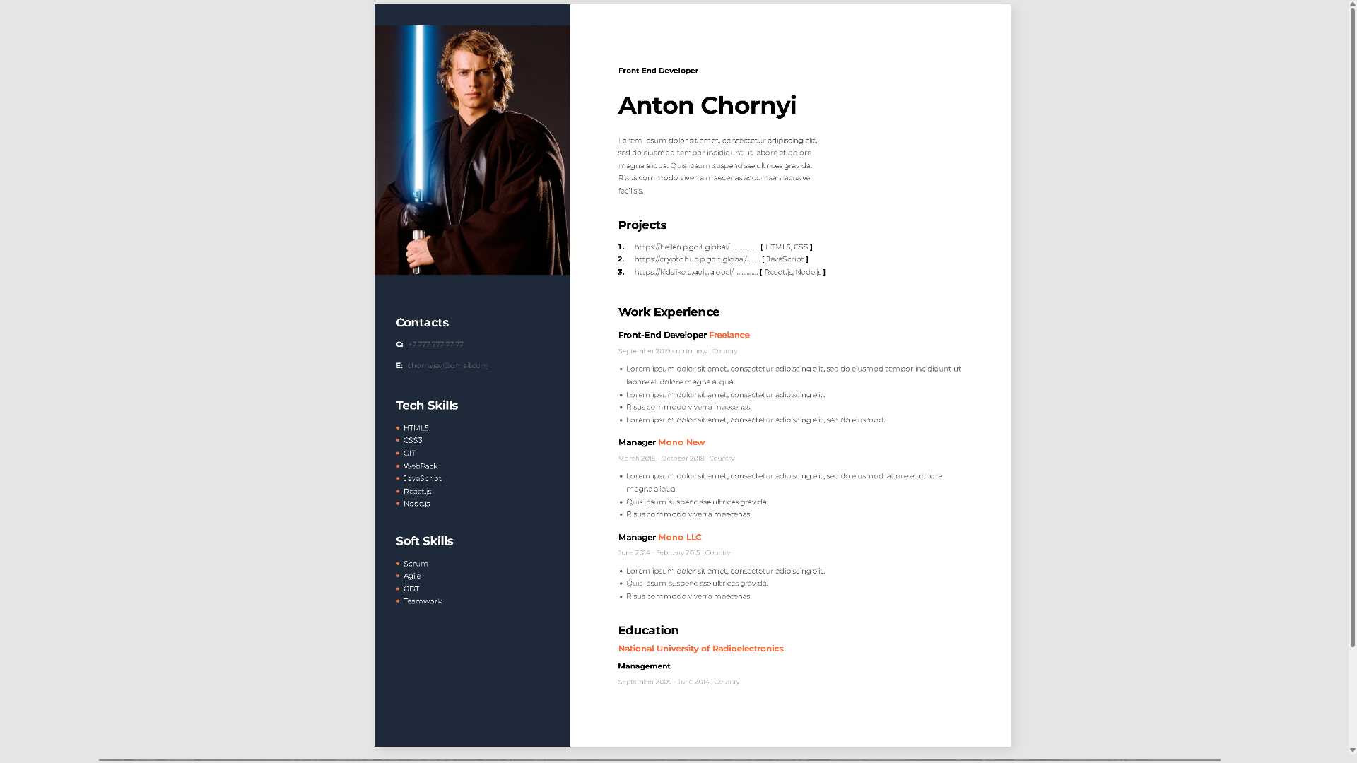 Result screenshot of "resume_example" project